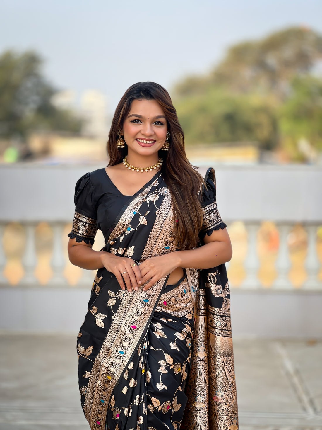 Black Zari Embroidered Banarasi Silk Saree