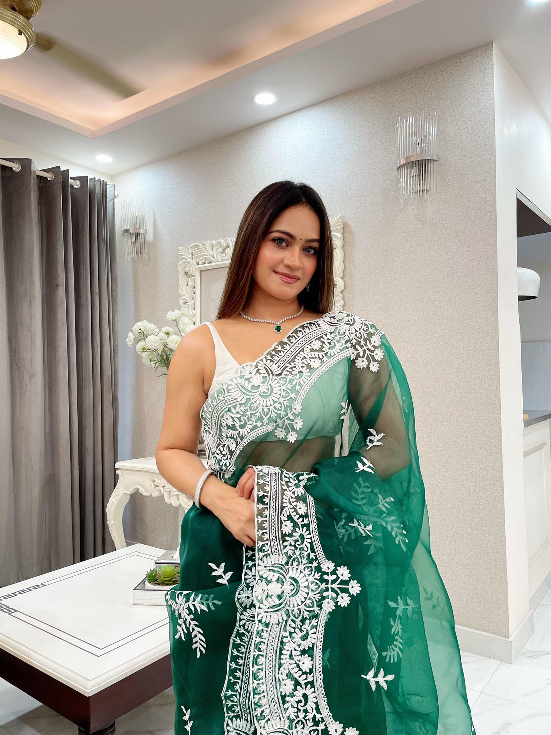 ChicCholi Hand Emrodiery Organza Saree