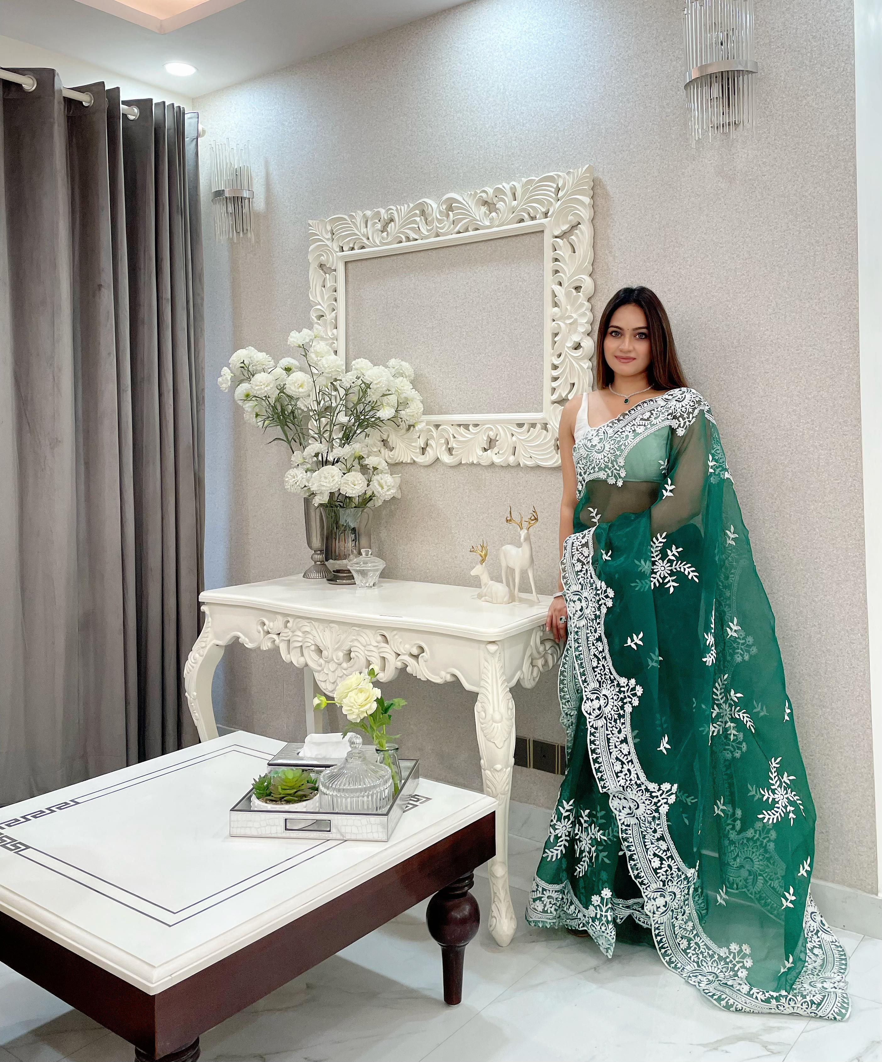 ChicCholi Hand Emrodiery Organza Saree