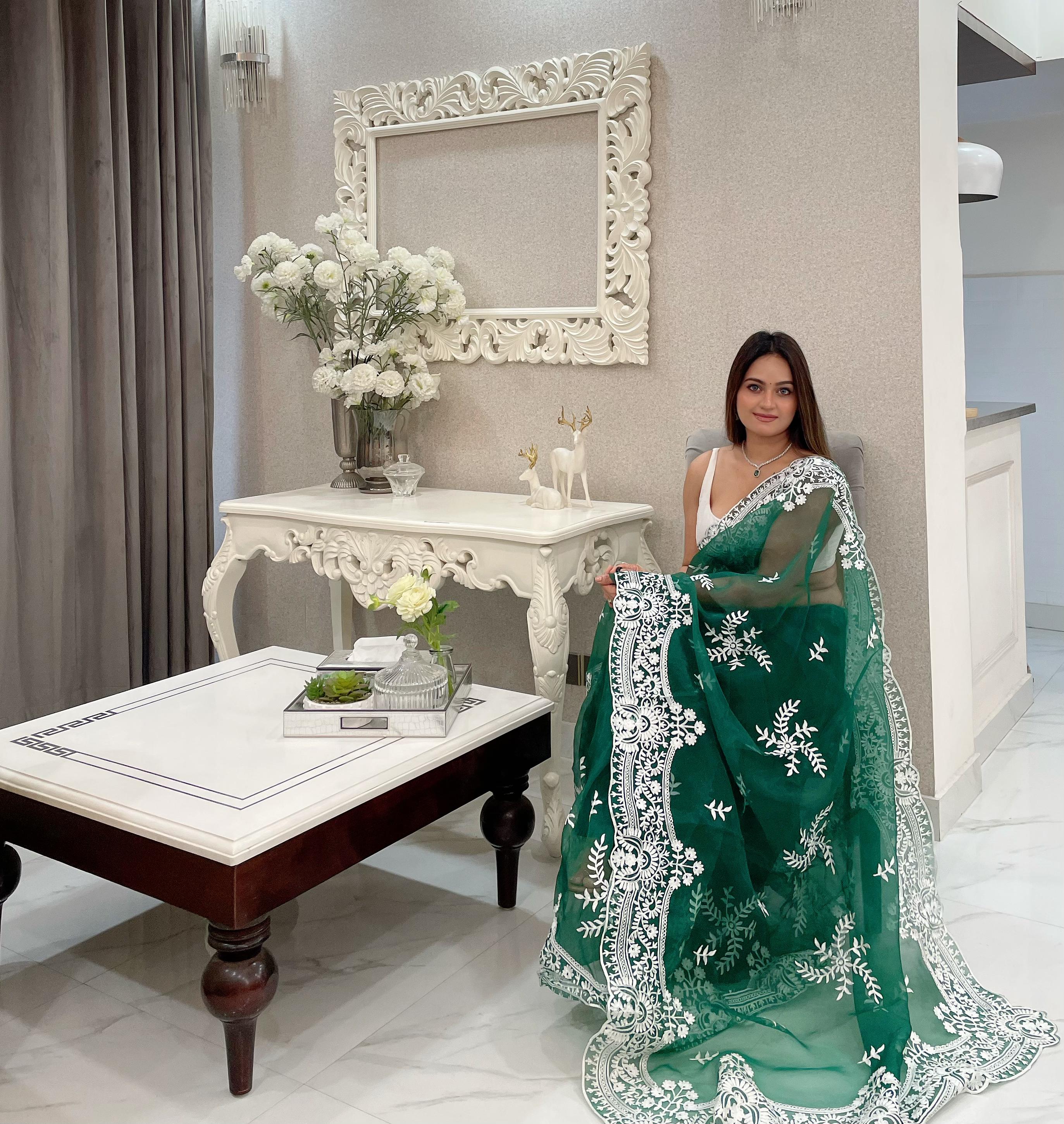ChicCholi Hand Emrodiery Organza Saree