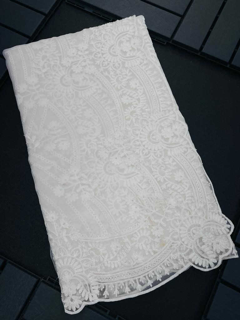 ChicCholi Hand Emrodiery Organza Saree