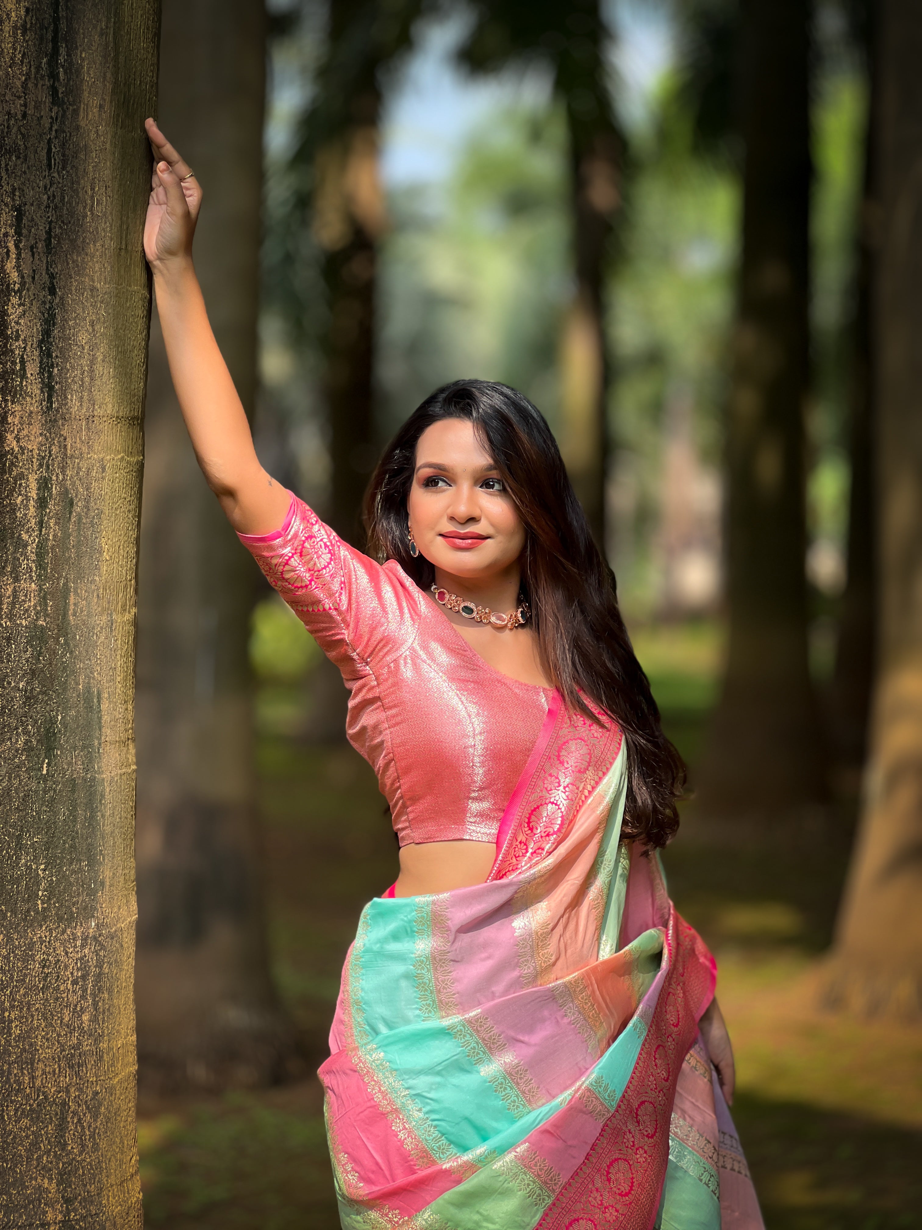 Multicolor Woven Design Banarasi Silk Saree
