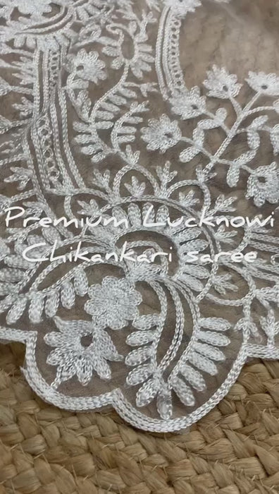 ChicCholi Hand Emrodiery Organza Saree